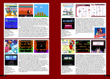 Load image into Gallery viewer, HG101 Presents: The Complete Guide to the Famicom Disk System