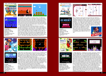 Load image into Gallery viewer, HG101 Presents: The Complete Guide to the Famicom Disk System
